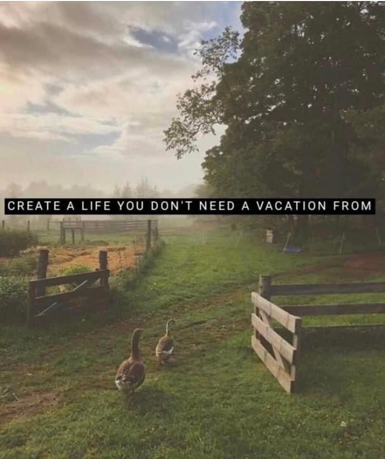 This meme is a humorous image of a rural landscape with a fence, trees, and a sign that says "Create a life you don't need a vacation from." The image is meant to be ironic, suggesting that a person should create a life that is so fulfilling and enjoyable that they don't need to take a break from it. The text is a play on the popular phrase "create a life you don't need a vacation from," which is often used to encourage people to live their lives in a way that is not just a .